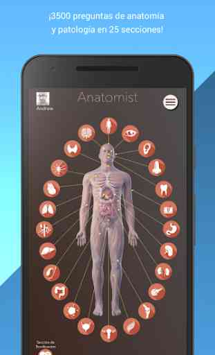 Anatomist - Anatomía Cuestionario Juego 1