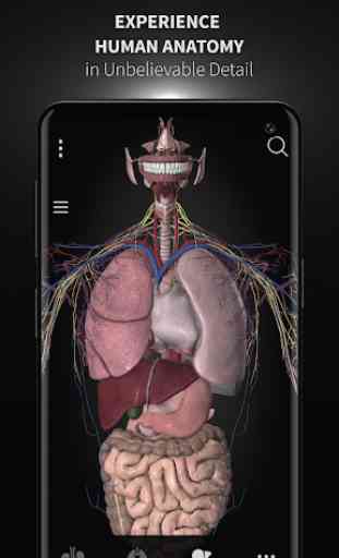 Anatomyka - 3D Human Anatomy Atlas 1