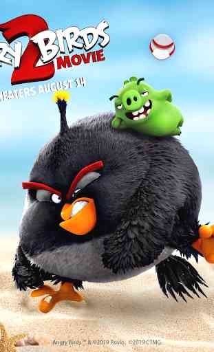 Angry Birds Bad Pigs Themes & Live Wallpapers 2