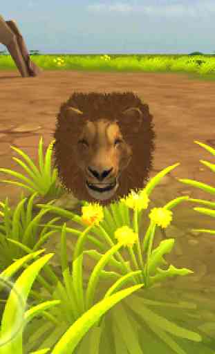 Angry & Wild Lion Simulator 3