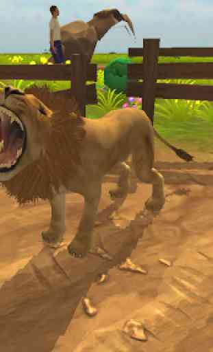 Angry & Wild Lion Simulator 4