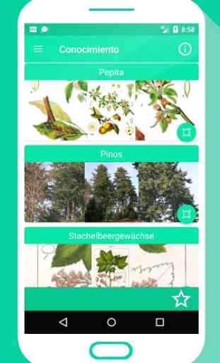 árbol española árboles y plantas Aplicación gratis 2