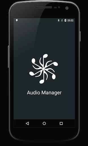 Audio Manager 1