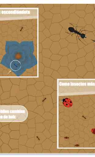 Bichos: Evolución de las hormigas 1