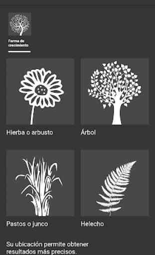 Flora Incognita - Identificación de plantas 2