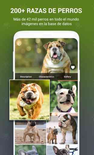 Libro perro identificador raza escáner perro fotos 2