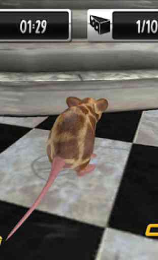 Mouse in Home Simulator 3D 3