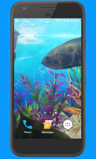 Oscar Fish Aquarium Video 3D 1