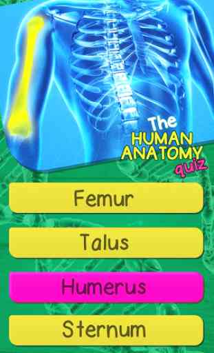 Quiz De Anatomia Del Cuerpo Humano Gratis 1