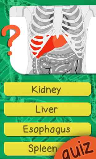 Quiz De Anatomia Del Cuerpo Humano Gratis 2