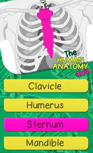 Quiz De Anatomia Del Cuerpo Humano Gratis 4