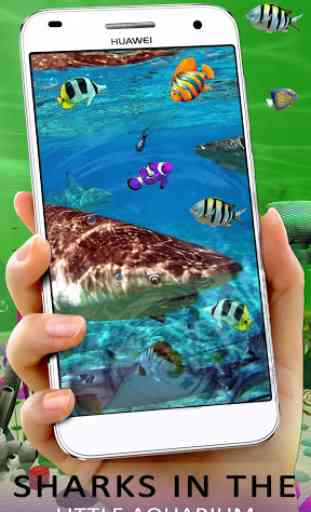 Realista 3D Koi Fish Aquarium Wallpaper App 3