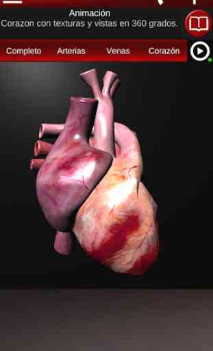 Sistema Circulatorio en 3D (Anatomia) 2
