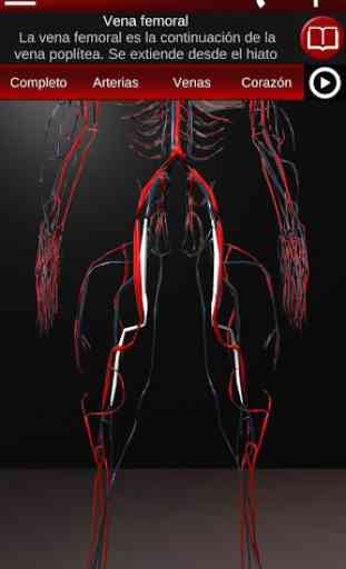 Sistema Circulatorio en 3D (Anatomia) 3