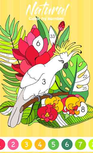 Tap Coloring Book - Color By Number 3