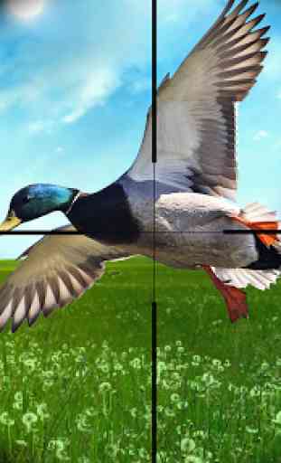 Temporada de caza patos 2020: juegos disparos aves 1