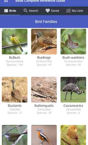 Birds Complete Reference Guide 1