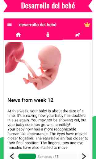 Calculadora de embarazo - seguimiento de embarazo 4