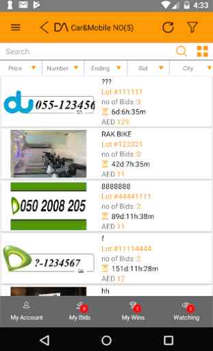Dubai Auction 2