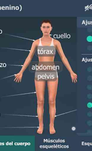 El cuerpo humano (femenino) en 3D educativo 1