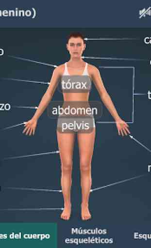 El cuerpo humano (femenino) en 3D educativo 2