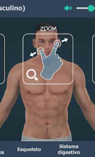 El cuerpo humano (masculino) en 3D educativo 1