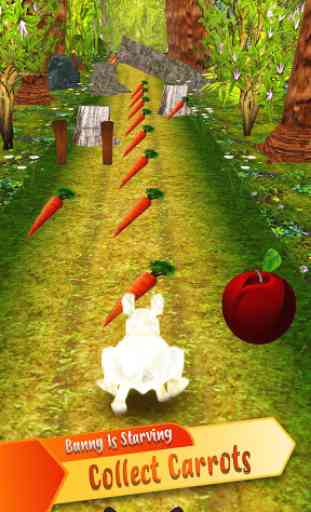 Forest Bunny Run :Bunny Game 1