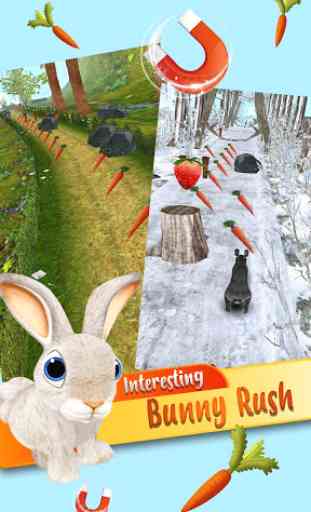Forest Bunny Run :Bunny Game 3