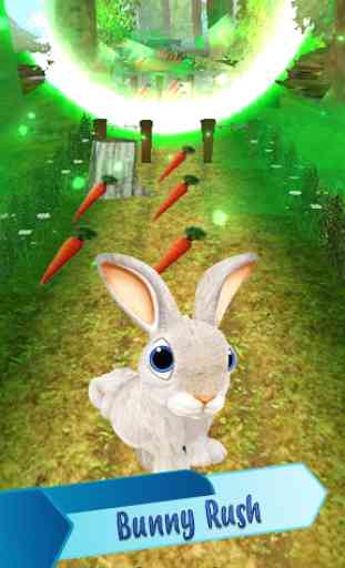 Forest Bunny Run :Bunny Game 4
