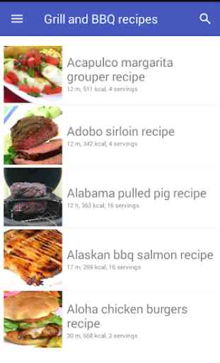 Grill recipes free, BBQ recipes offline with photo 1