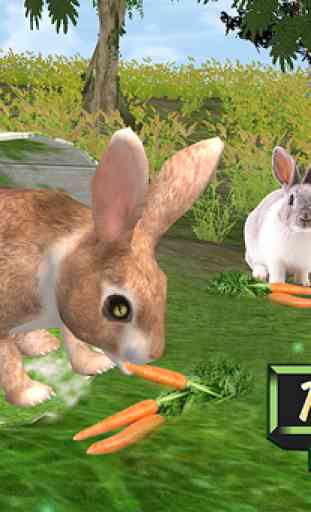 Mejor simulador de conejo 1