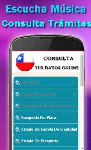 Patentes Chile Consultas Servel 3