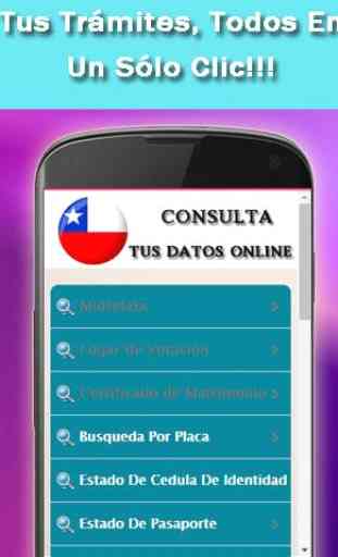 Patentes Chile Consultas Servel 4