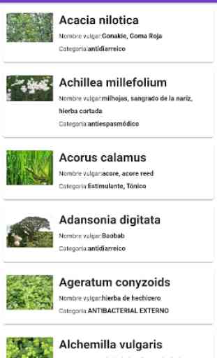 Plantas medicinales 2