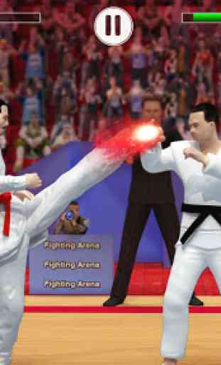 Tag Team Karate lucha tigre mundo Kung Fu rey 4