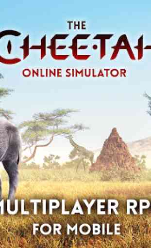 The Cheetah 1