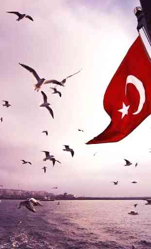 Turquía Bandera Fondos 4