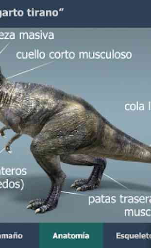 Tyrannosaurus rex en 3D educativo 1