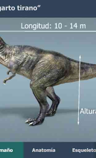 Tyrannosaurus rex en 3D educativo 2