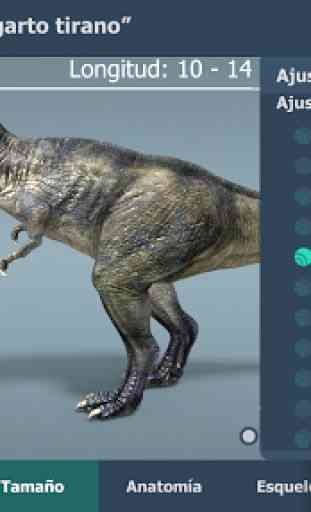 Tyrannosaurus rex en 3D educativo 3