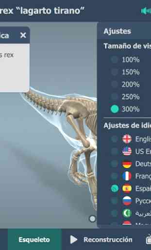 Tyrannosaurus rex en 3D educativo 4