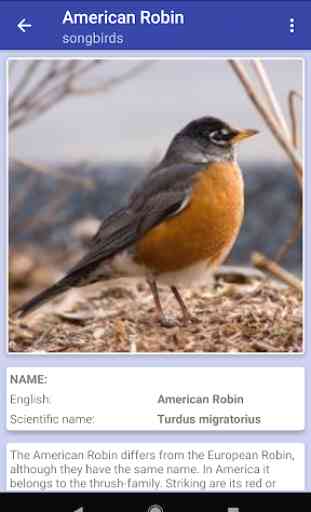 Bird Identifier 4