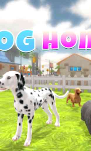 Casa de perro 1