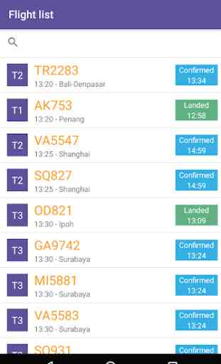 Changi Airport Flight Status 2