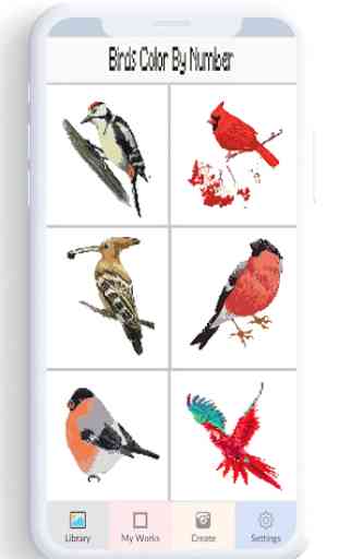 Color de aves por número, coloración pájaro pixel 1