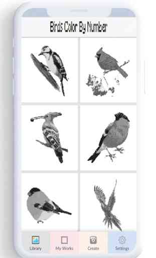 Color de aves por número, coloración pájaro pixel 2