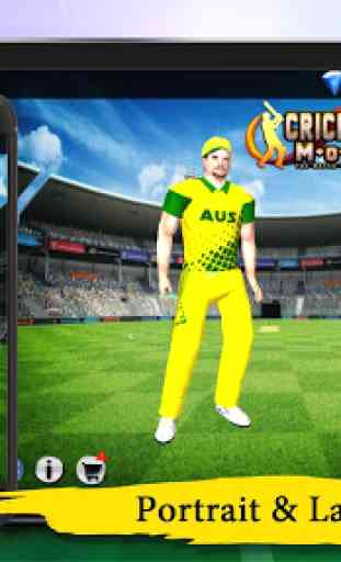 Cricket Man Of the Match : Player Career 2