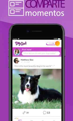 DogCha! Comunidad social de propietarios de perros 1