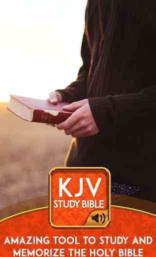KJV study Bible 3
