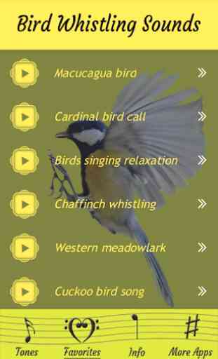 Sonidos silbantes de pájaros 4
